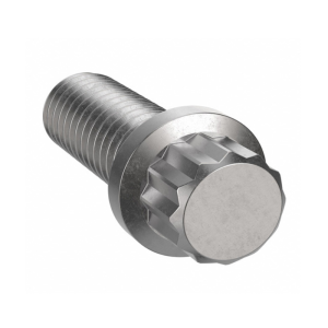 12-Point-Bolt